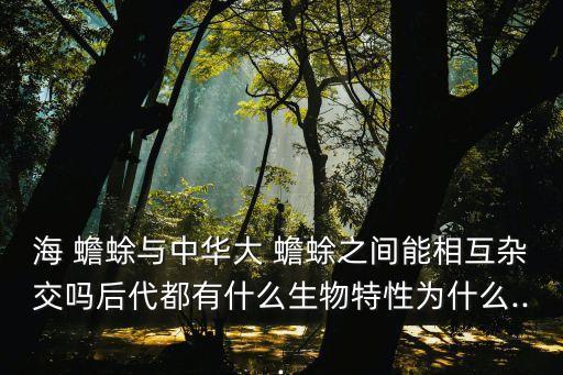 海蟾蜍,大海蟾蜍和中華大學蟾蜍分別來自南美和澳洲