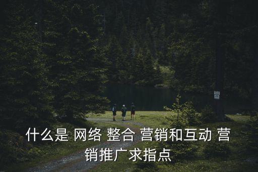 什么是 網絡 整合 營銷和互動 營銷推廣求指點
