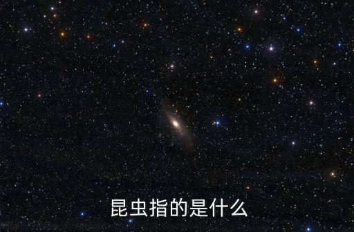 昆蟲是什么,關于害蟲你必須知道的事情
