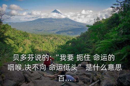貝多芬說的:“我要 扼住 命運的 咽喉,決不向 命運低頭”是什么意思百...