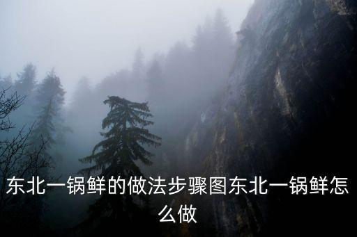 東北一鍋鮮的做法步驟圖東北一鍋鮮怎么做