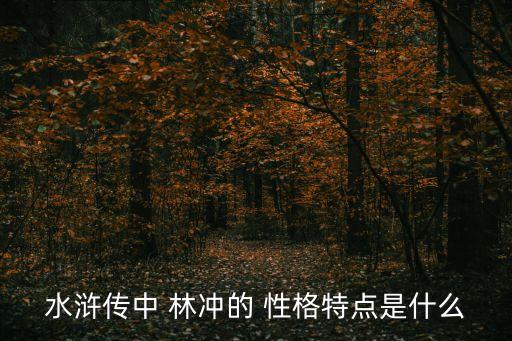水滸傳中 林沖的 性格特點是什么