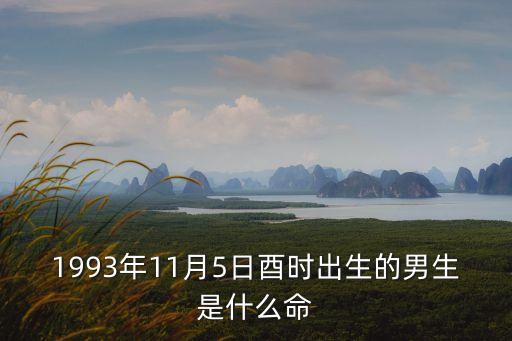 1993年11月5日酉時出生的男生是什么命