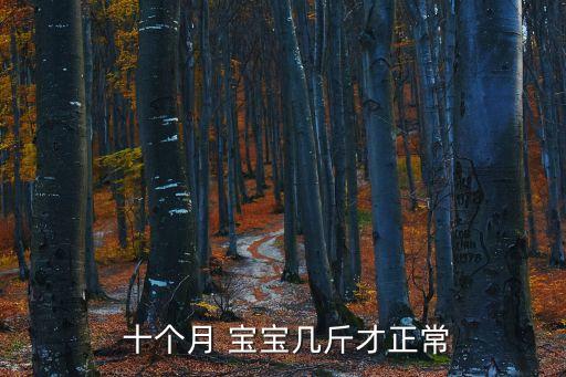 十個(gè)月的寶寶,10個(gè)月大寶寶添加輔食要注意盡可能保證健康