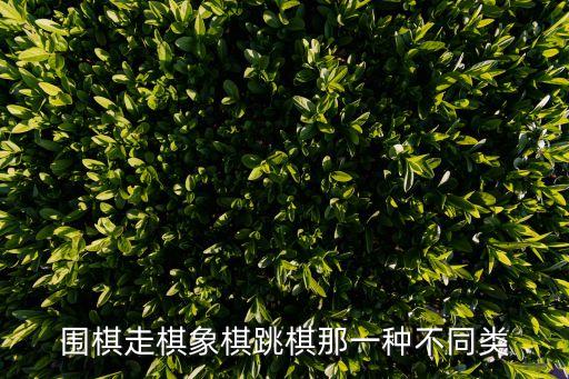 圍棋走棋象棋跳棋那一種不同類