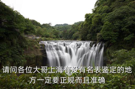 上海市五糧液鑒定，請問各位大哥上海有沒有名表鑒定的地方一定要正規而且準確