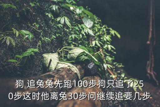 狗追兔,獵人第一次出去打兔