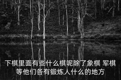 棋類大全，棋類游戲有哪些