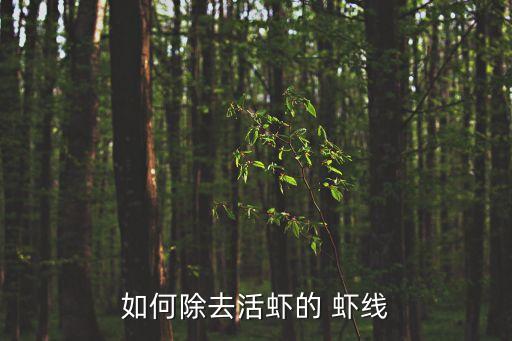 去蝦線的最快方法,怎么去除鮮蝦的蝦線?