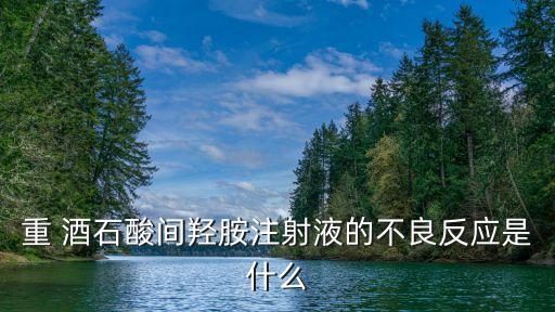 重 酒石酸間羥胺注射液的不良反應是什么