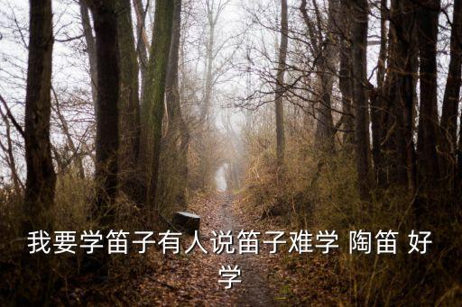 陶笛好學嗎,7.陶笛比笛子好學!