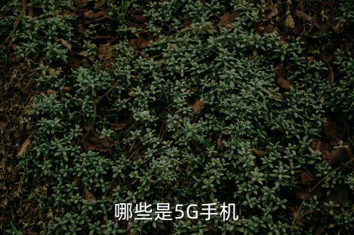 哪些是5G手機