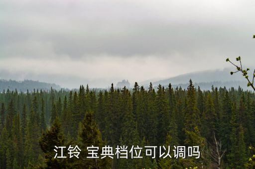 江鈴 寶典檔位可以調嗎