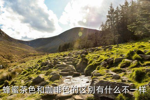 蜜糖色,真品蜜糖色須滿足以下三個條件