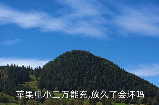  蘋果電小二萬能充,放久了會壞嗎
