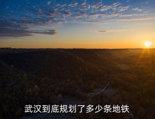 武漢城市規劃，武漢城市規劃圖