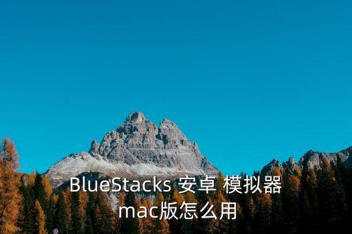 BlueStacks 安卓 模擬器 mac版怎么用