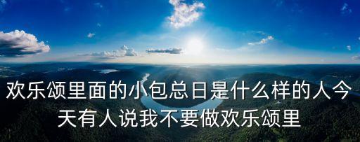 歡樂頌里面的小包總日是什么樣的人今天有人說我不要做歡樂頌里