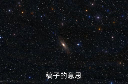 稿子的意思
