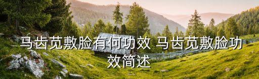 馬齒莧怎么祛痘,馬齒莧蜂蜜檸檬汁均勻攪拌即可食用