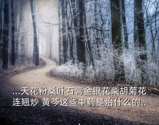炒黃芩,炒秦可減少其苦寒切胃的性質