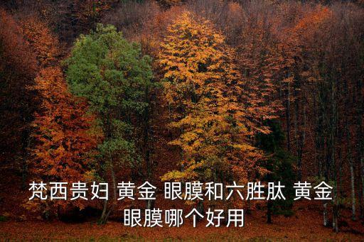 梵西貴婦 黃金 眼膜和六勝肽 黃金 眼膜哪個好用