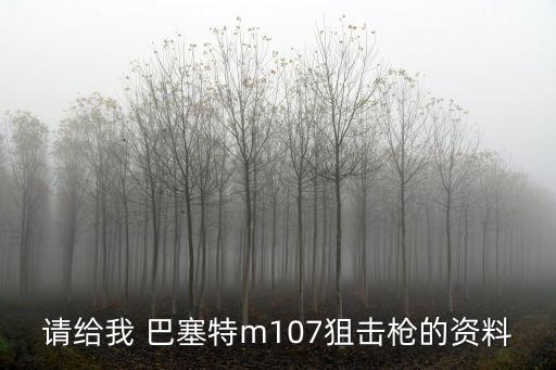 請給我 巴塞特m107狙擊槍的資料
