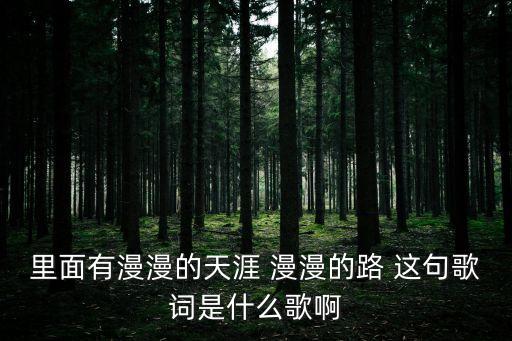 里面有漫漫的天涯 漫漫的路 這句歌詞是什么歌啊