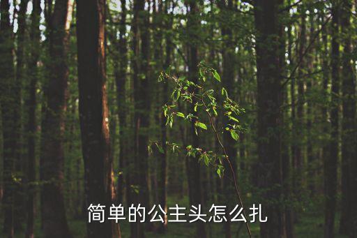 簡(jiǎn)單的公主頭怎么扎