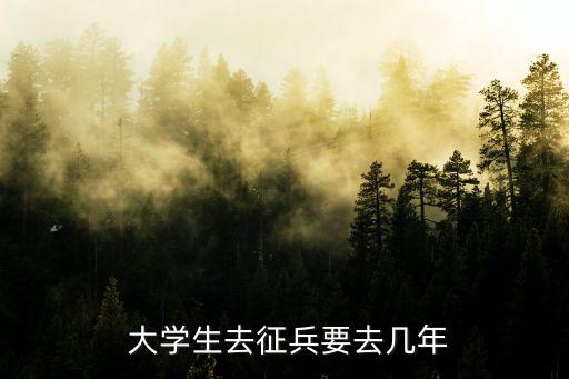 大學生服兵役,義務兵服現役期限為兩年大學生服兵役要幾年