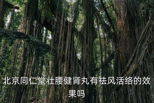 北京同仁堂壯腰健腎丸有祛風活絡的效果嗎