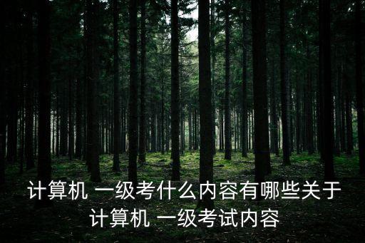  計(jì)算機(jī) 一級考什么內(nèi)容有哪些關(guān)于 計(jì)算機(jī) 一級考試內(nèi)容