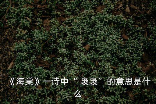 裊裊的意思,【海棠》第二集:裊裊-荷菱的同義詞