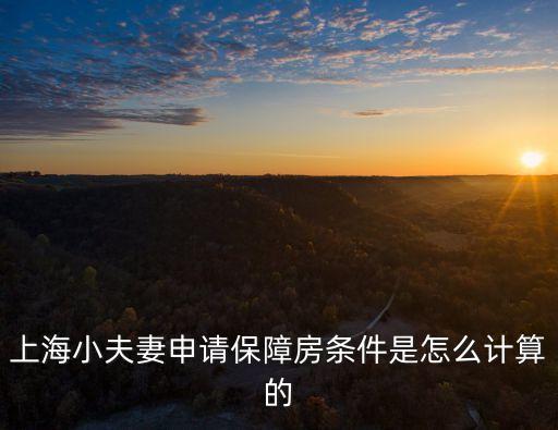 上海小夫妻申請保障房條件是怎么計算的