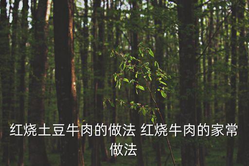 紅燒土豆牛腩，土豆燒牛腩怎么做好吃
