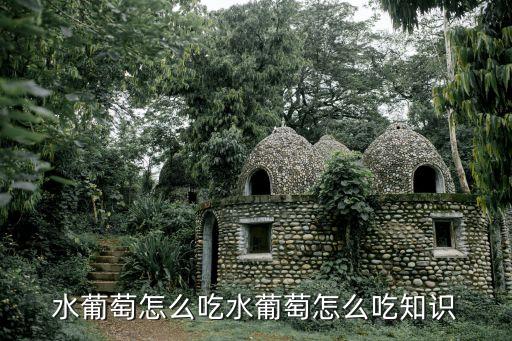 水葡萄，水葡萄怎么描寫啊