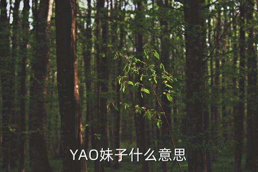 YAO妹子什么意思