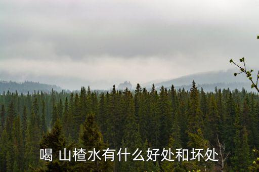喝 山楂水有什么好處和壞處