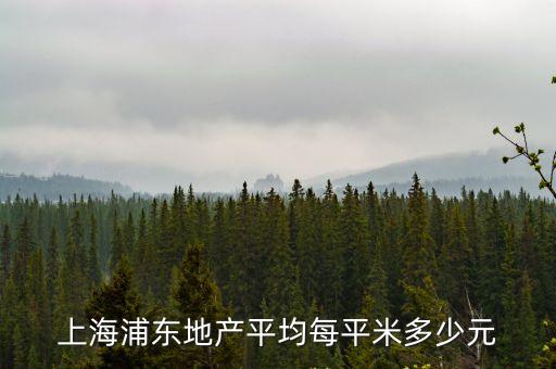 上海浦東地產平均每平米多少元