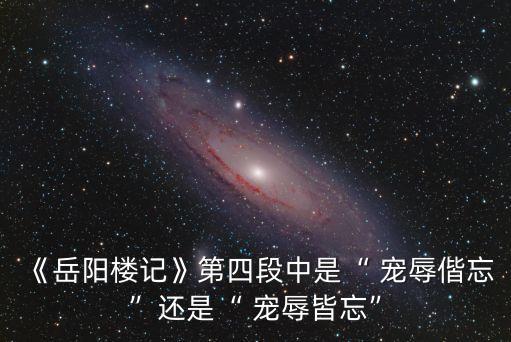 寵辱偕忘,寵辱忘了是中國習(xí)語!