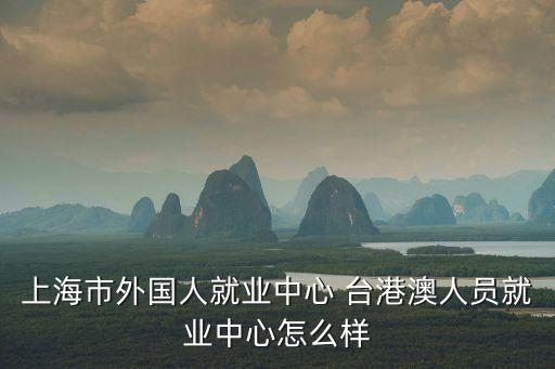 上海市外國人就業(yè)中心 臺港澳人員就業(yè)中心怎么樣
