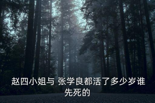 張學良和趙四,張學良第三次婚姻是與趙一荻