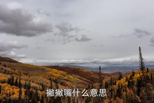 撇撇嘴什么意思