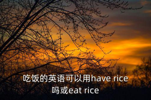 吃飯的英語可以用have rice嗎或eat rice