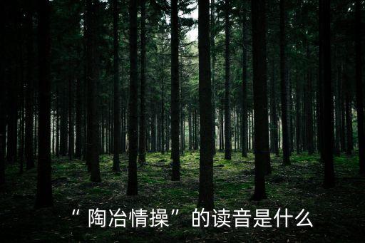 “ 陶冶情操”的讀音是什么