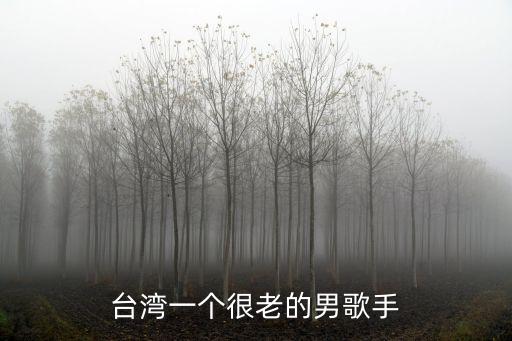 臺灣老歌手，臺灣一個很老的男歌手