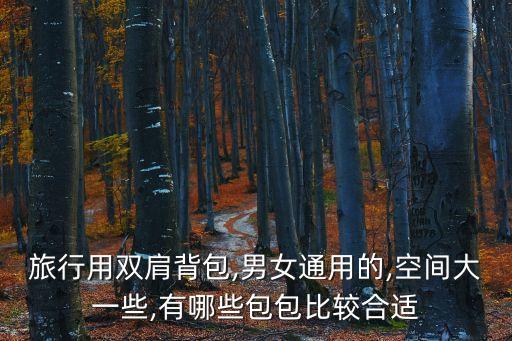 旅行用雙肩背包,男女通用的,空間大一些,有哪些包包比較合適
