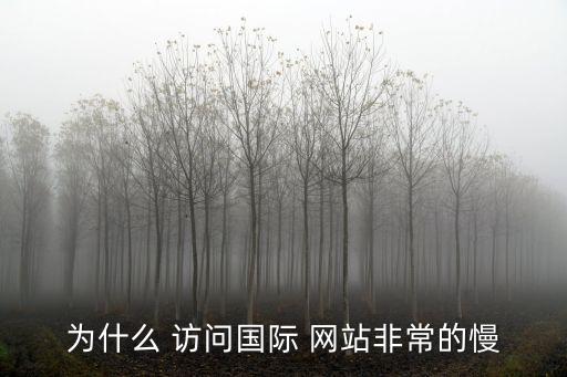 訪問國(guó)外網(wǎng)站,云杰開通專門網(wǎng)絡(luò)線路加快訪問速度提升效率
