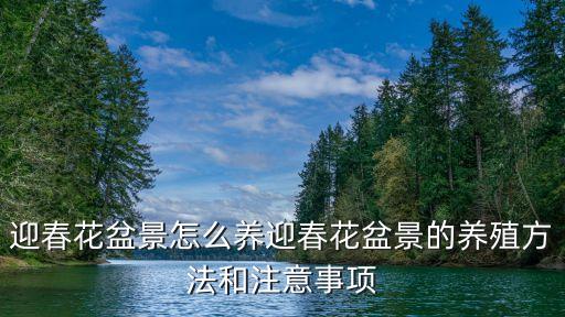 迎春花的養殖方法和注意事項，迎春花盆景怎么養迎春花盆景的養殖方法和注意事項