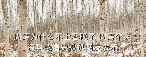  周濤為什么不上春晚了 周濤個(gè)人 資料感情史被扒網(wǎng)友表示
